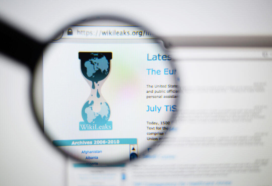 Wikileaks: The Lesson So Far